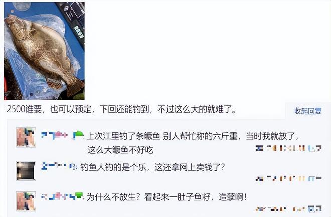 湖南钓友在洞庭湖钓到28斤老鳜鱼网友：这体型都快赶上煤气罐了(图7)