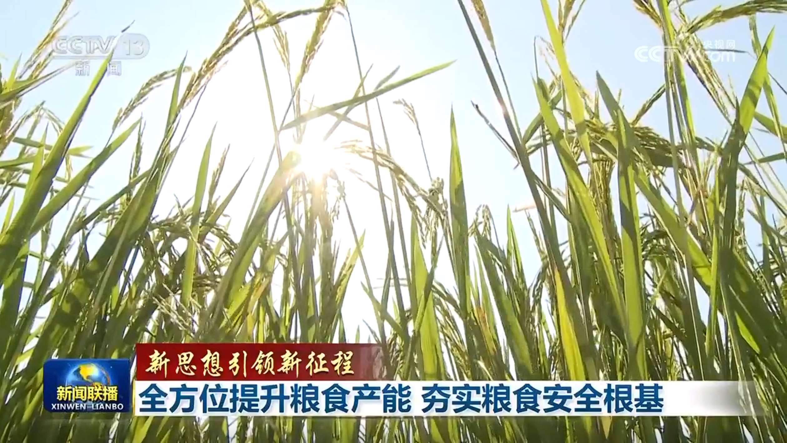 【新思想引领新征程】全方位提升粮食产能夯实粮食安全根基(图3)